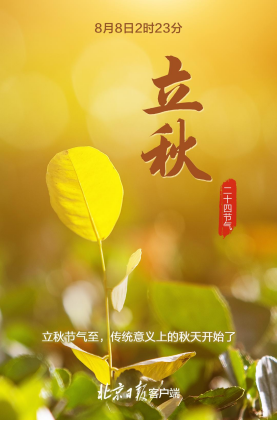 1691455753794659.png image.png